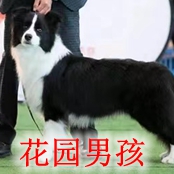 微信图片_20230210222134_副本.jpg