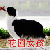 微信图片_20230210222134_副本_副本.jpg